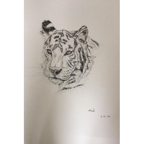 Pet sketches