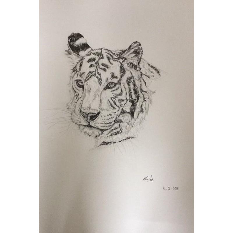 Pet sketches