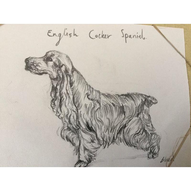 Pet sketches