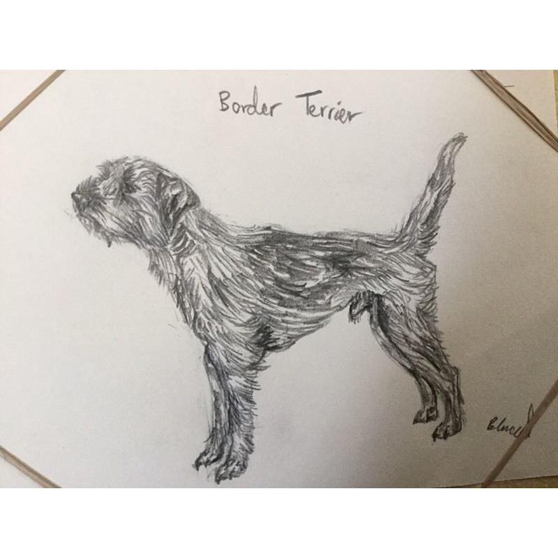 Pet sketches