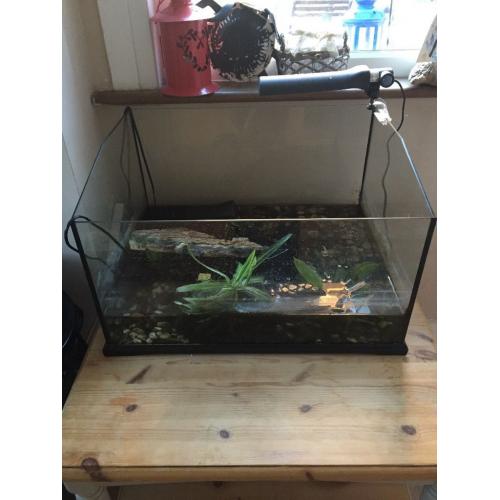 Large Exo Terra Terranium tank