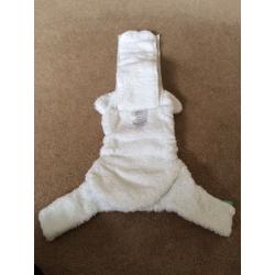 Totsbots washable nappies