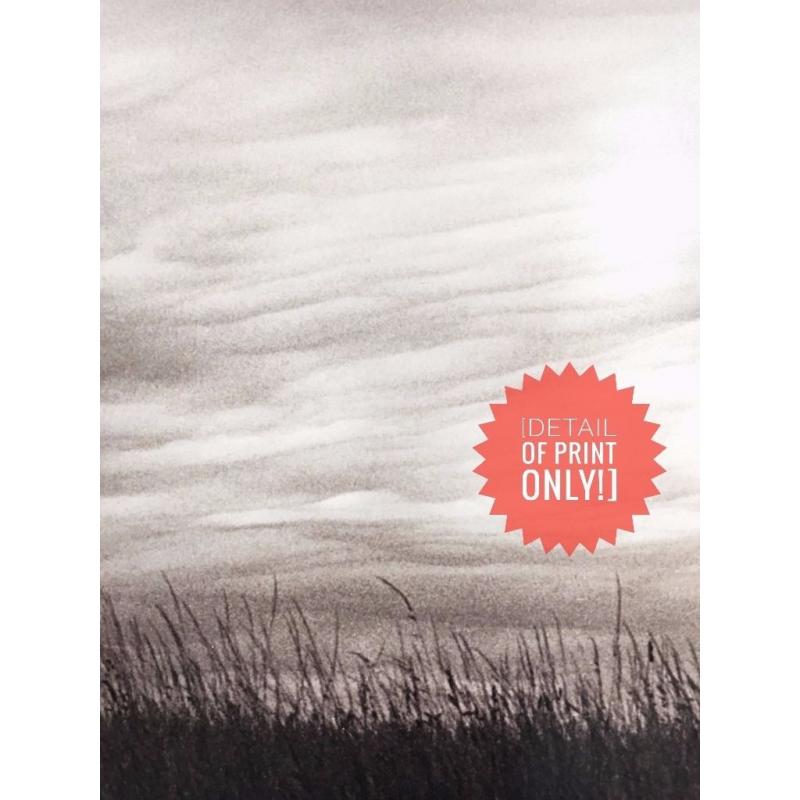 HUGE UNIQUE PHOTOGRAPHIC PRINT - an original one-off wall art / photograph / wall-hanging