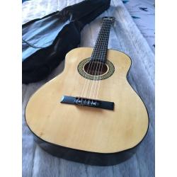 Small acoustic guitar and case
