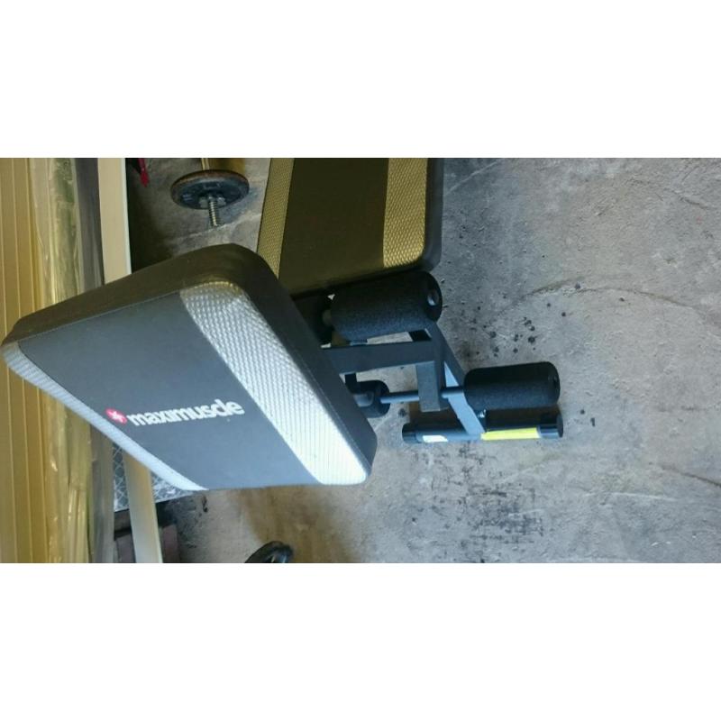 Maximuscle weight bench