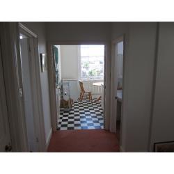 Lovely Bright Double Room for mature professsional - Montpelier