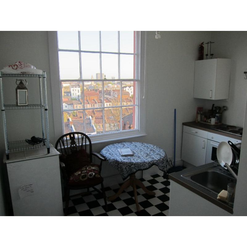 Lovely Bright Double Room for mature professsional - Montpelier