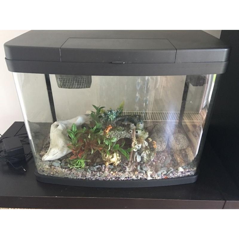 60L aquarium with light and filter, including accessories