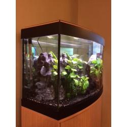 Fluval Valencia 180 Fish Tank with heater, filter and lights with Oak unit