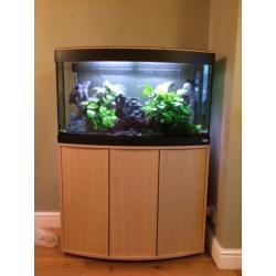 Fluval Valencia 180 Fish Tank with heater, filter and lights with Oak unit