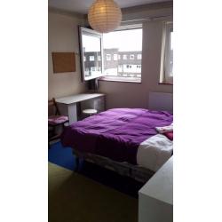 Spacious Double Room Nonsmoker Free Bicycle