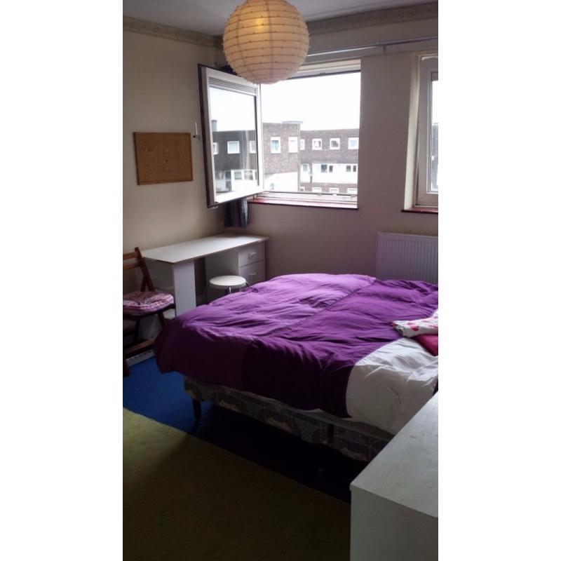 Spacious Double Room Nonsmoker Free Bicycle