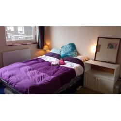 Spacious Double Room Nonsmoker Free Bicycle