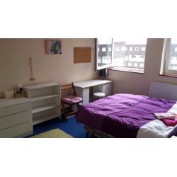 Spacious Double Room Nonsmoker Free Bicycle