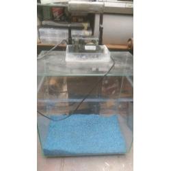 Fluval Edge fish tank aquiarum