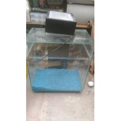 Fluval Edge fish tank aquiarum