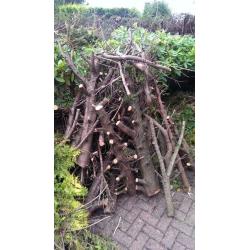 FREE WOOD
