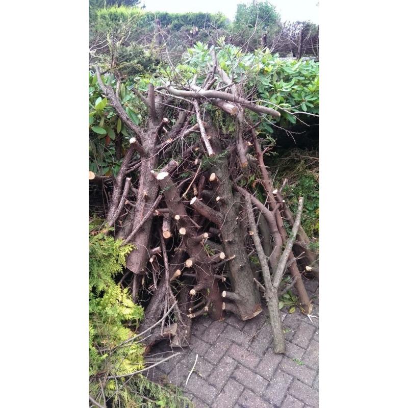 FREE WOOD