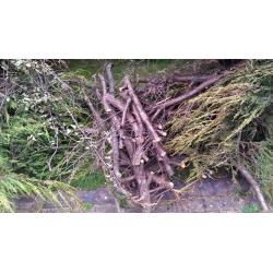 FREE WOOD