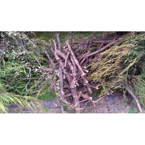 FREE WOOD