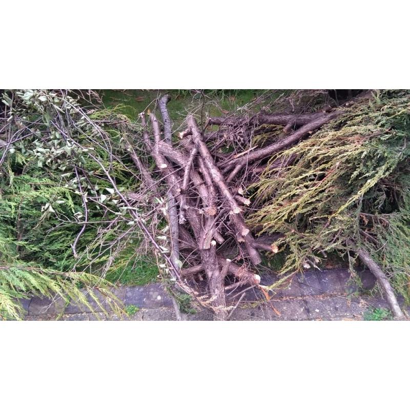 FREE WOOD