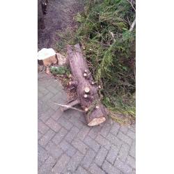 FREE WOOD