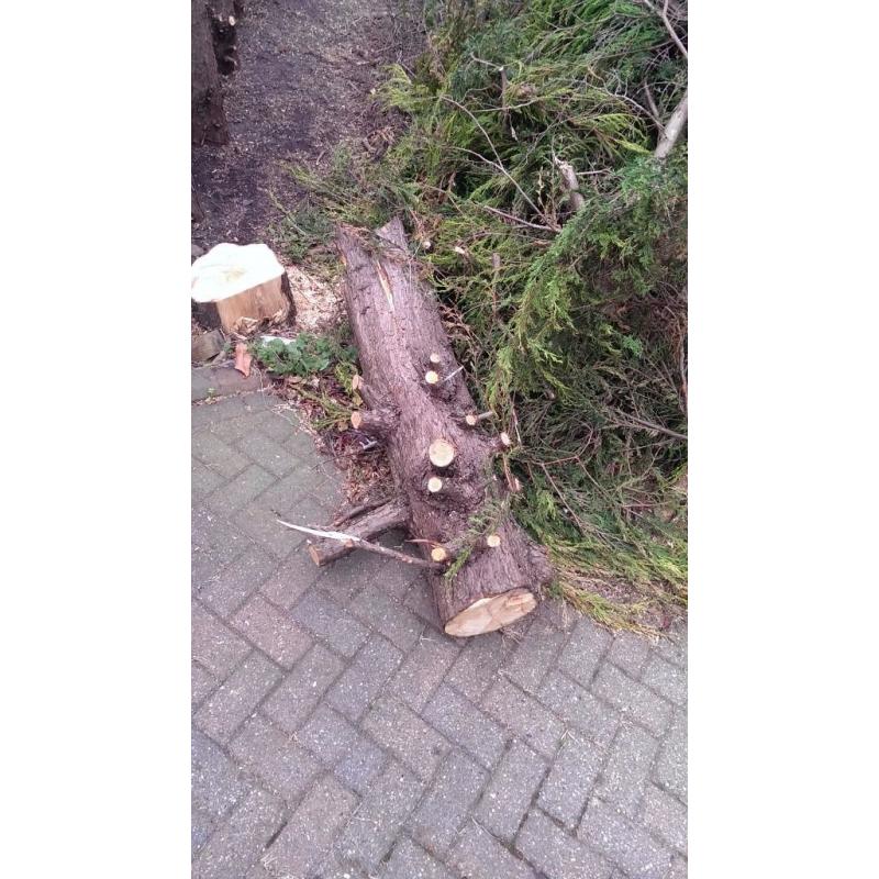 FREE WOOD