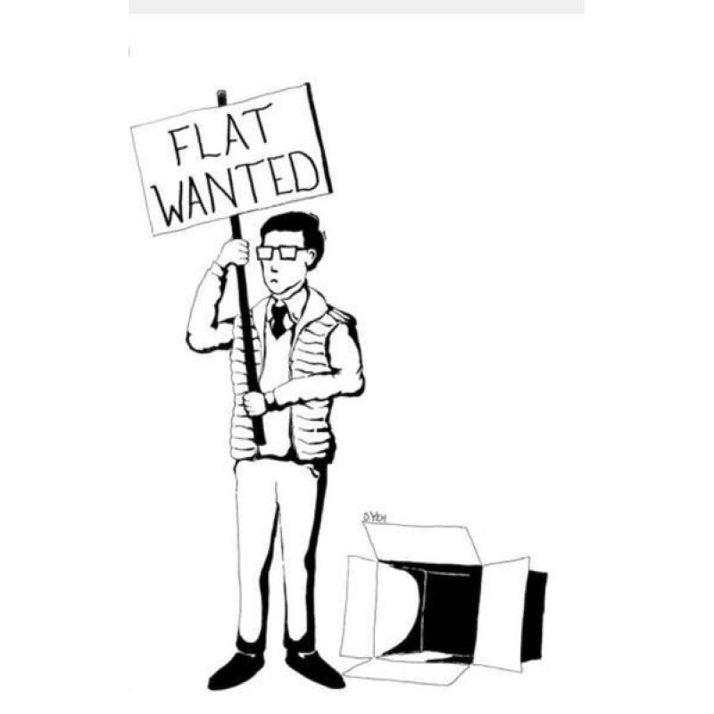 2 Bedroom Flat Wanted
