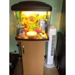 Fish tank