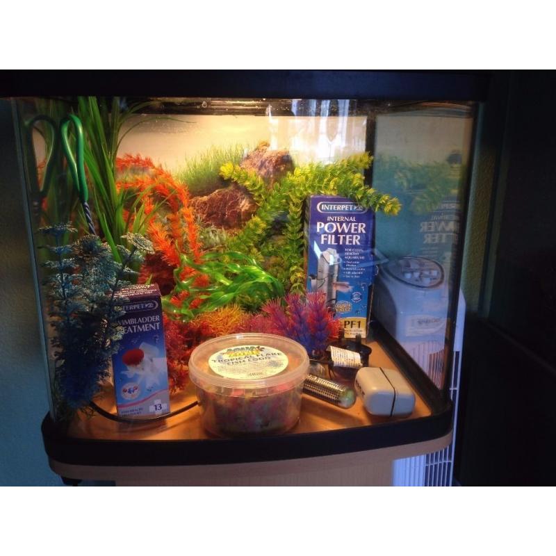 Fish tank