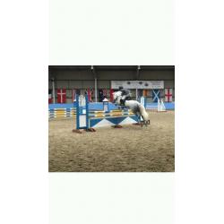 Schooling breaking