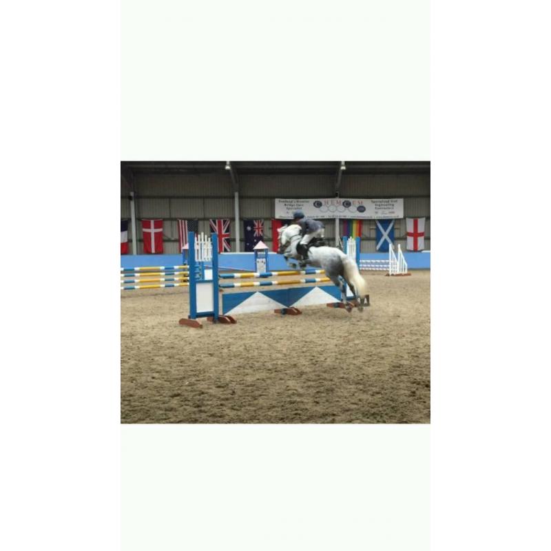 Schooling breaking