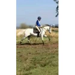 Schooling breaking