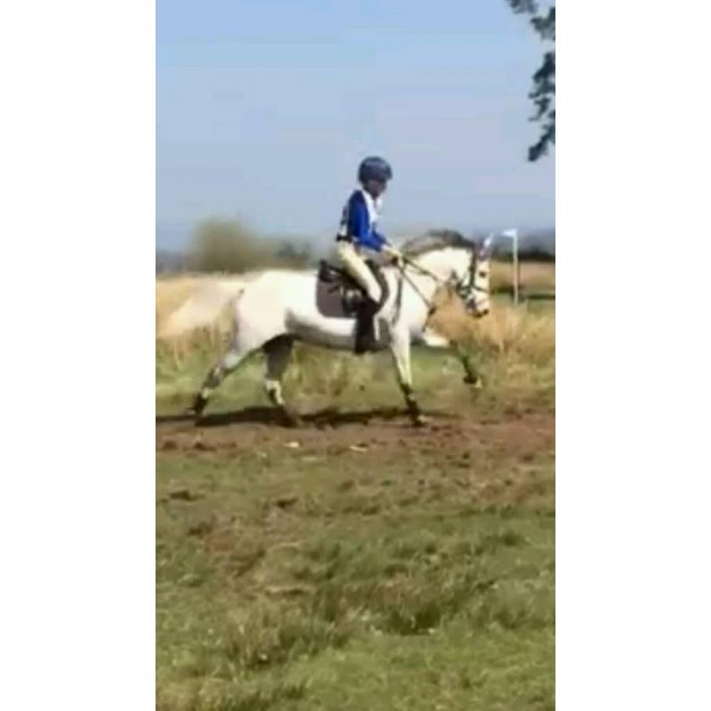 Schooling breaking