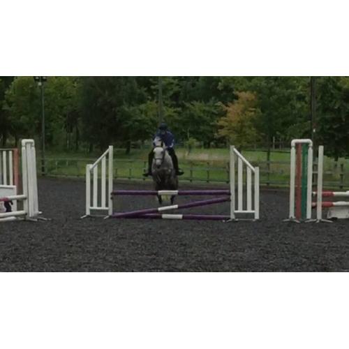 Schooling breaking