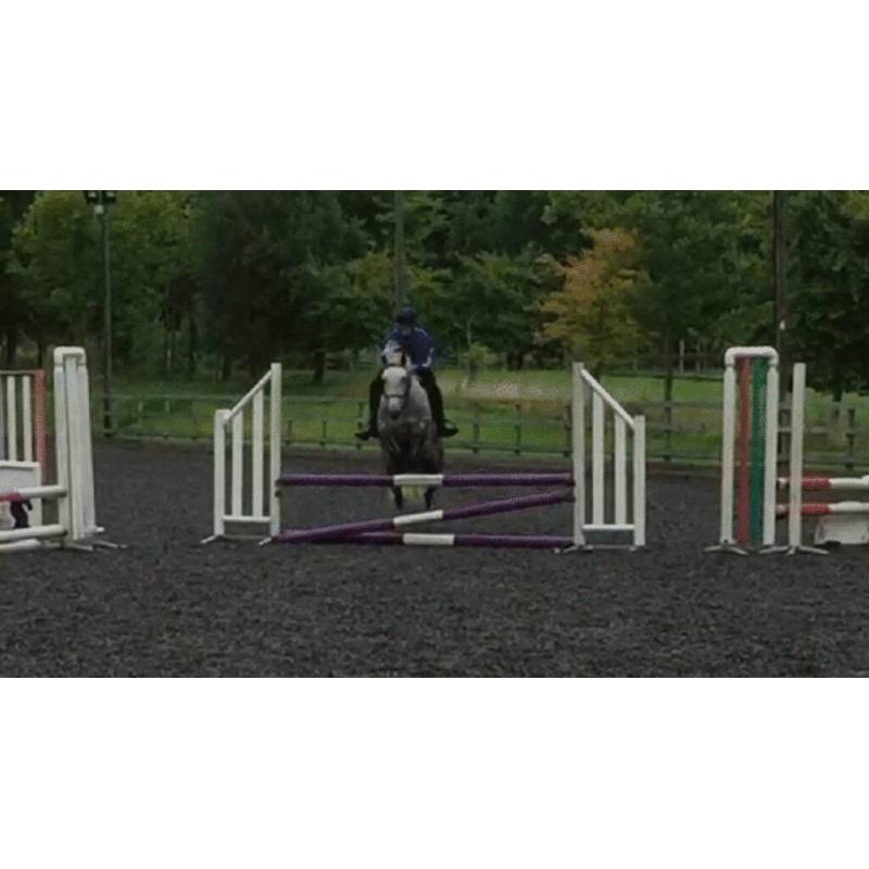 Schooling breaking