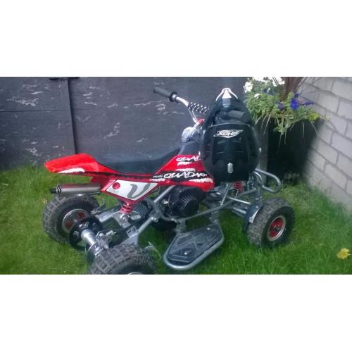 49cc midi quadard