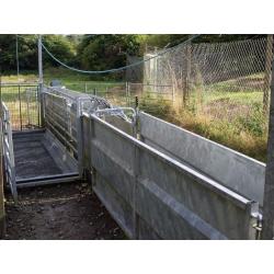 COMPLETE SHEEP HANDLING SYSTEM