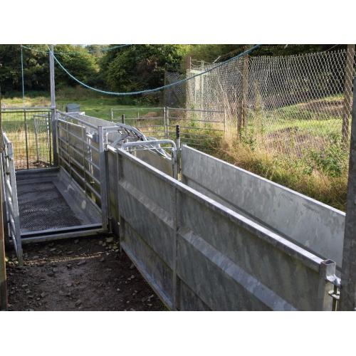 COMPLETE SHEEP HANDLING SYSTEM