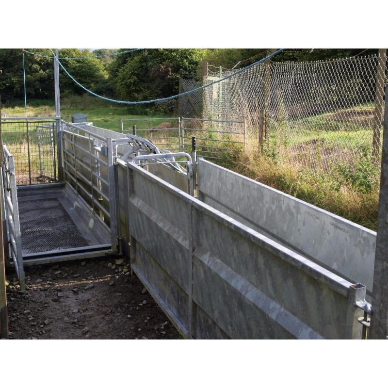 COMPLETE SHEEP HANDLING SYSTEM
