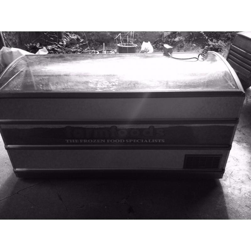 Large Industrial Freezer available for purchase