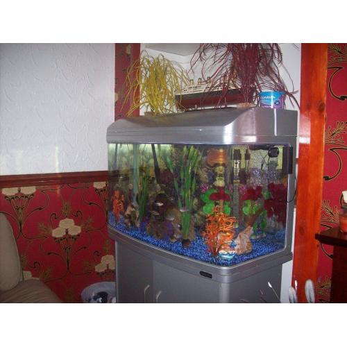complete aquarium sytem
