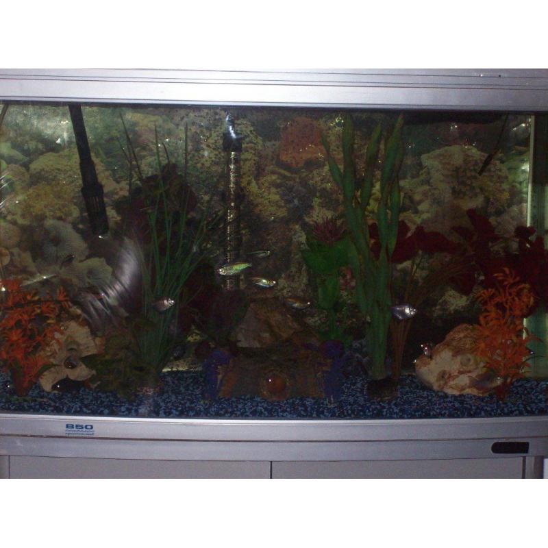 complete aquarium sytem