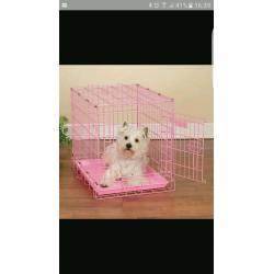 Small dog cage