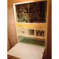 1960's pantry unit