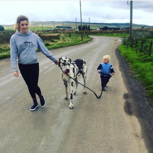 Dog Walking/Day Care