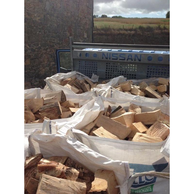 Firewood logs