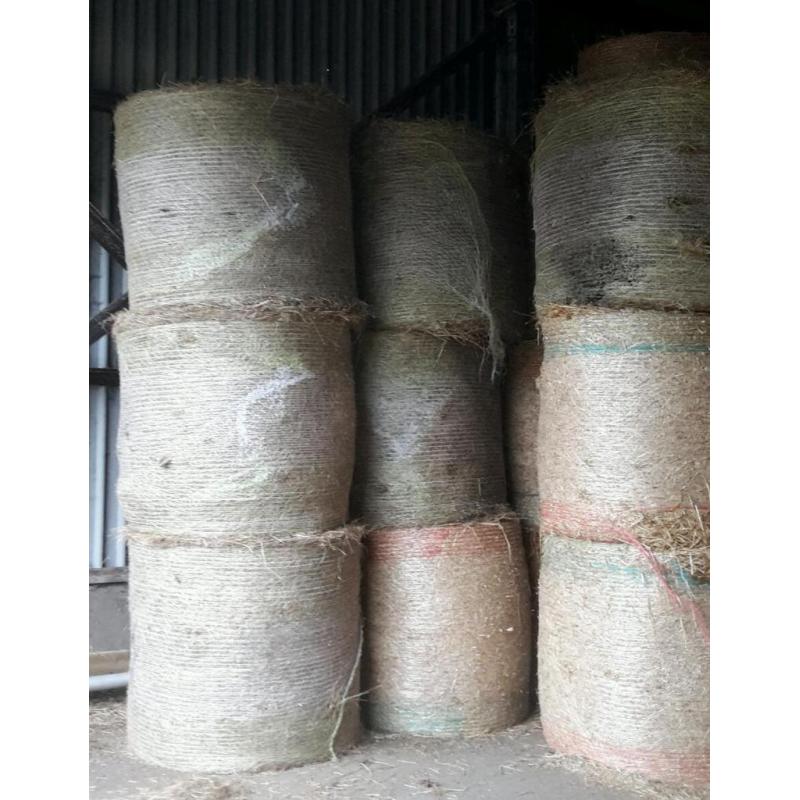 Last hay bales x6