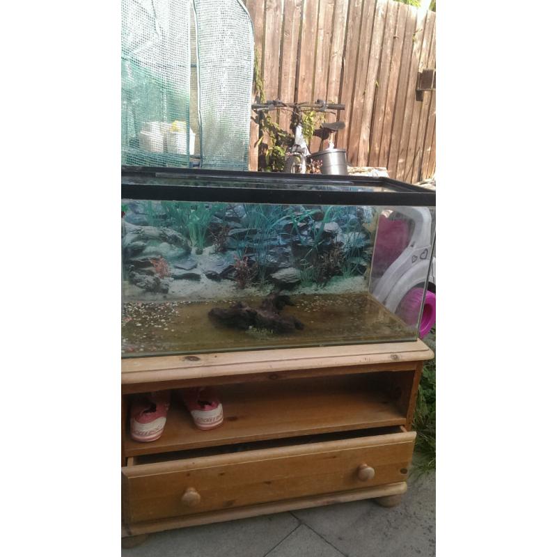 Fish tank with hood