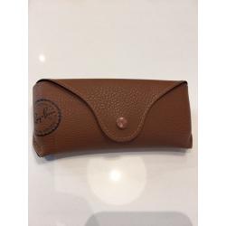 Ray Ban 4221 Sunglasses